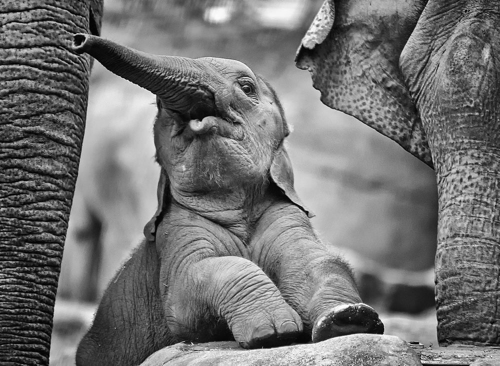 Photograph by Александр