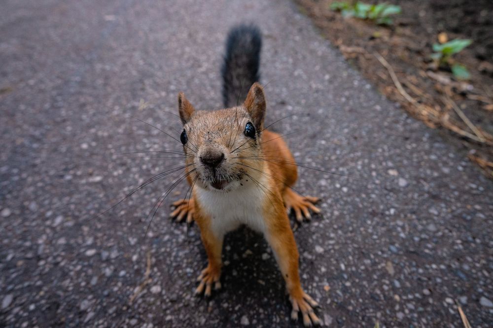 Photograph by Денис Пономарёв