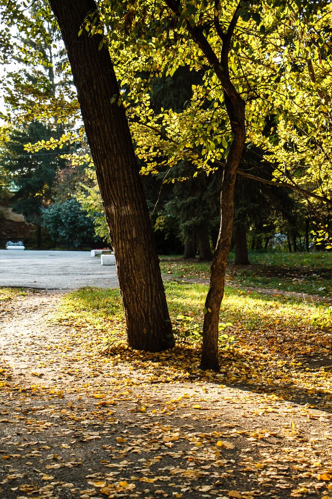 Photograph by Юлия Ташлыцкая