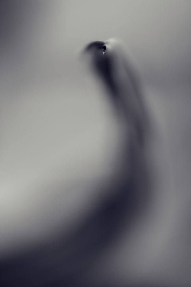 Photograph by Prometej