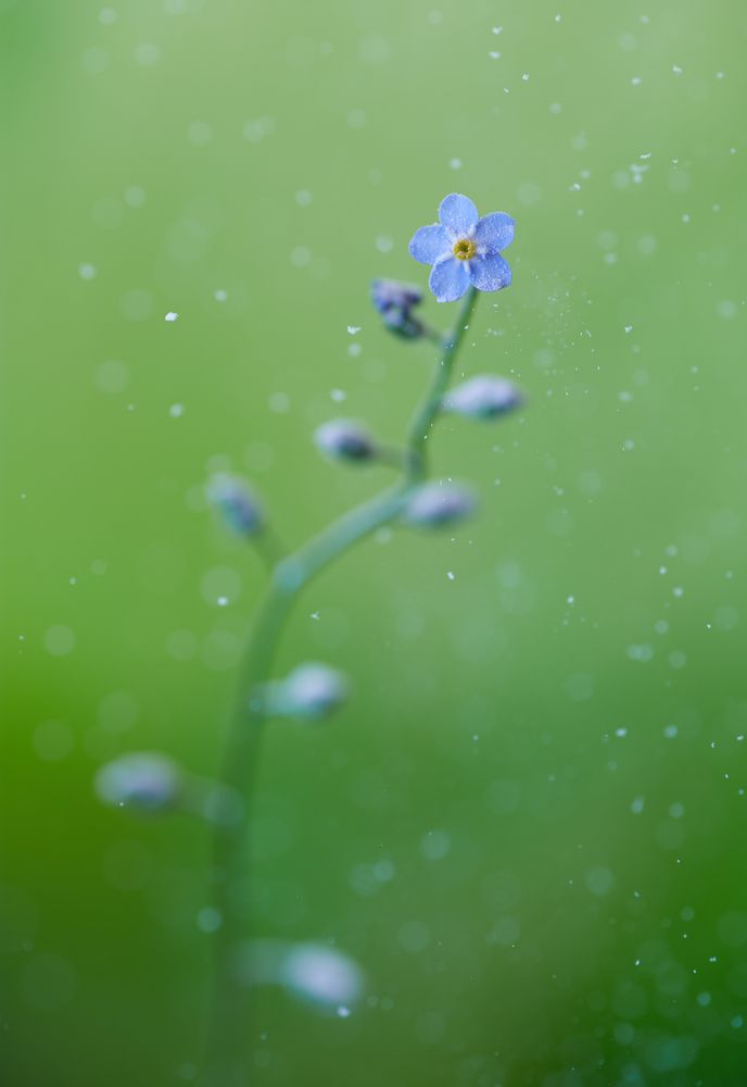 Photograph by Prometej