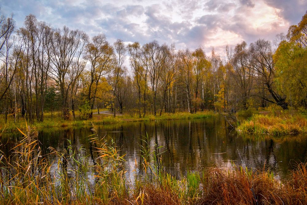 Photograph by Татьяна Шевцова