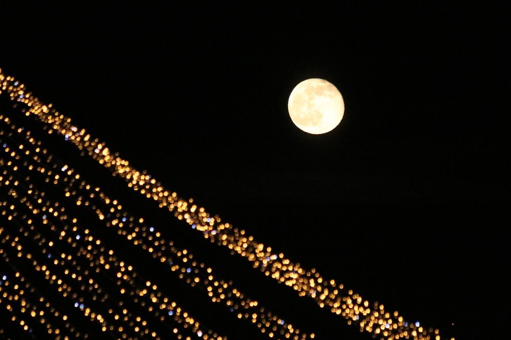 Photograph by Андрей Хитрун