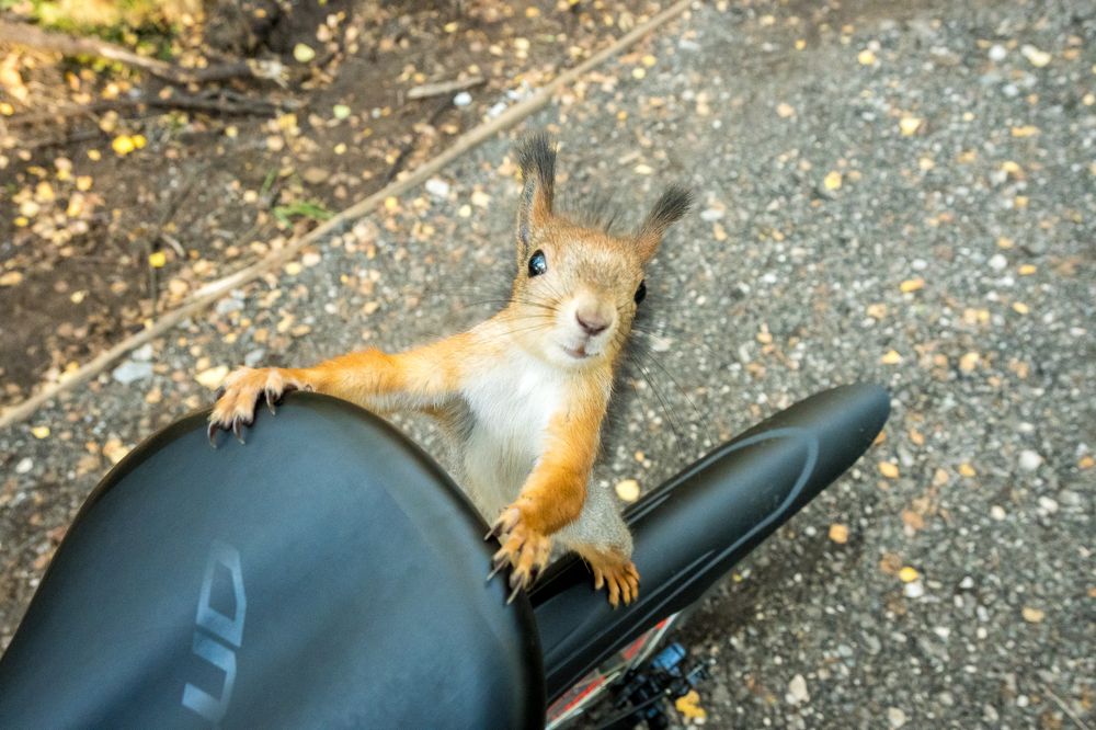 Photograph by Денис Пономарёв