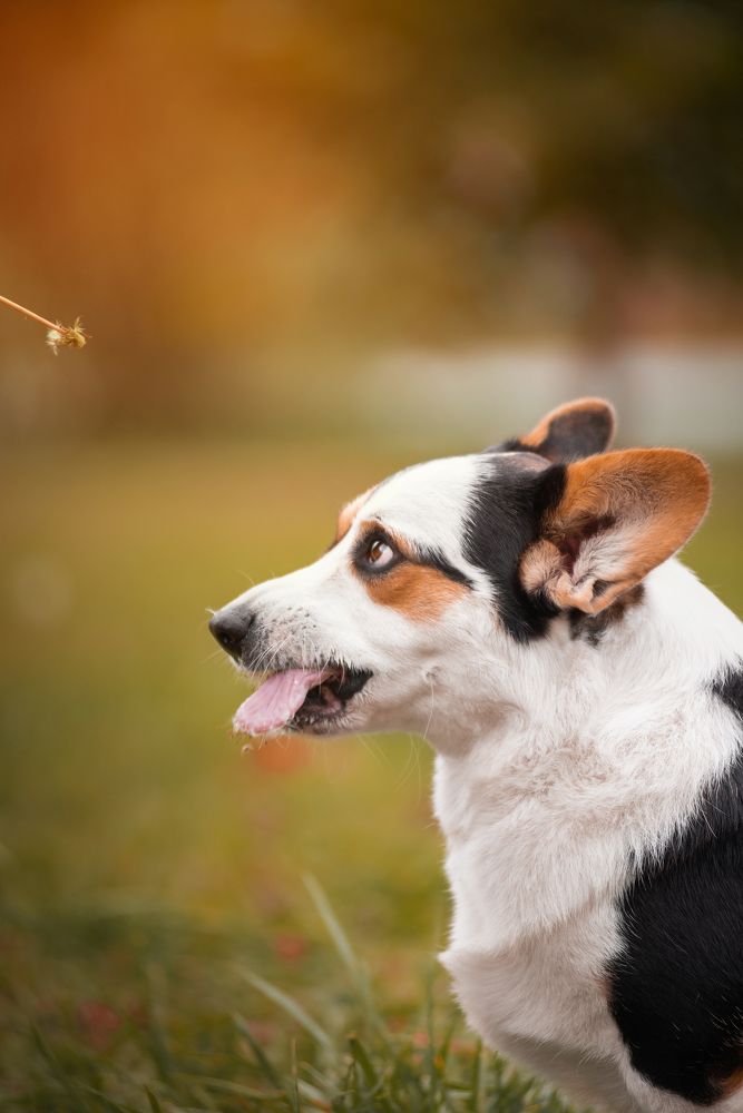 Photograph by Алина Колосова