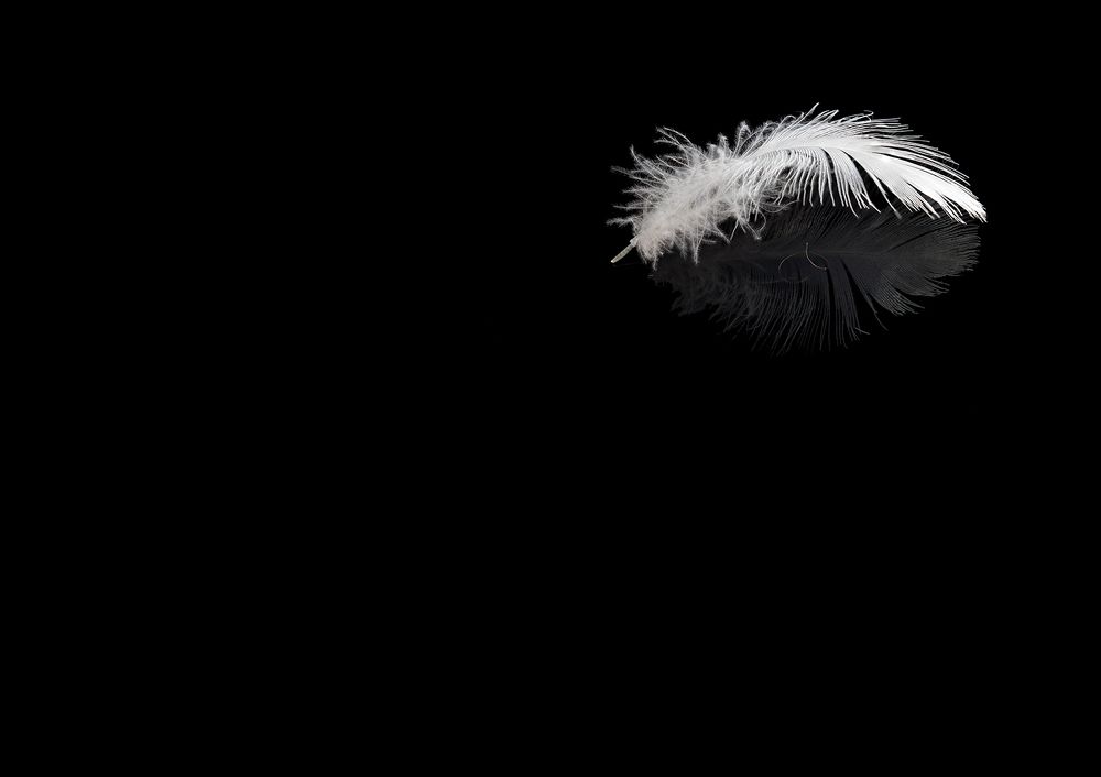 feather