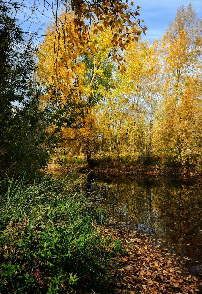 Осенний ерик