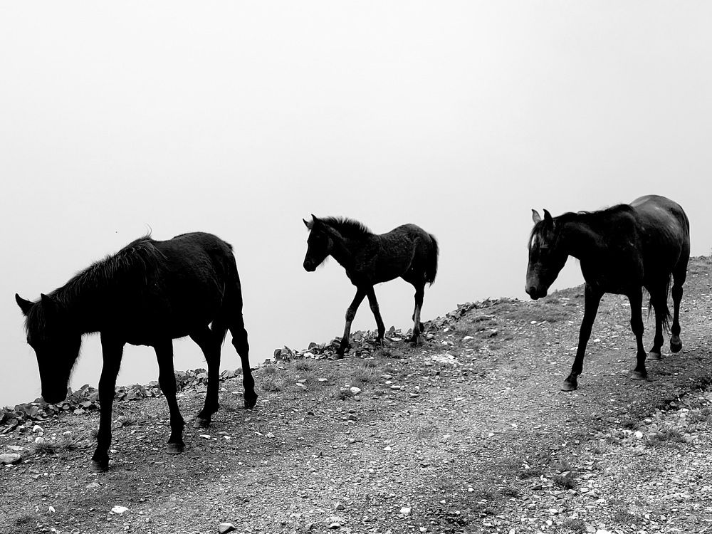 Photograph by Максим Сундеев