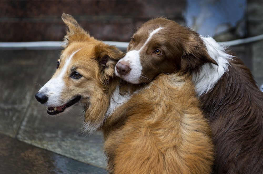 Photograph by Евгений Верещагин