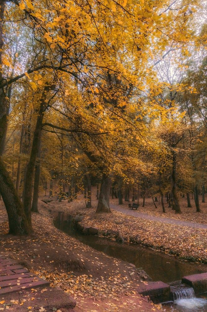 Photograph by Елена Пасажицкая