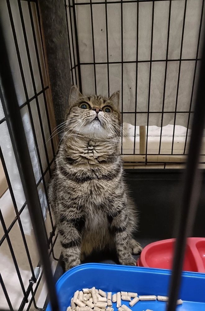 Фотография автора Анастасия Остапчук