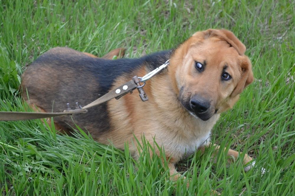 Фотография автора Анастасия Остапчук