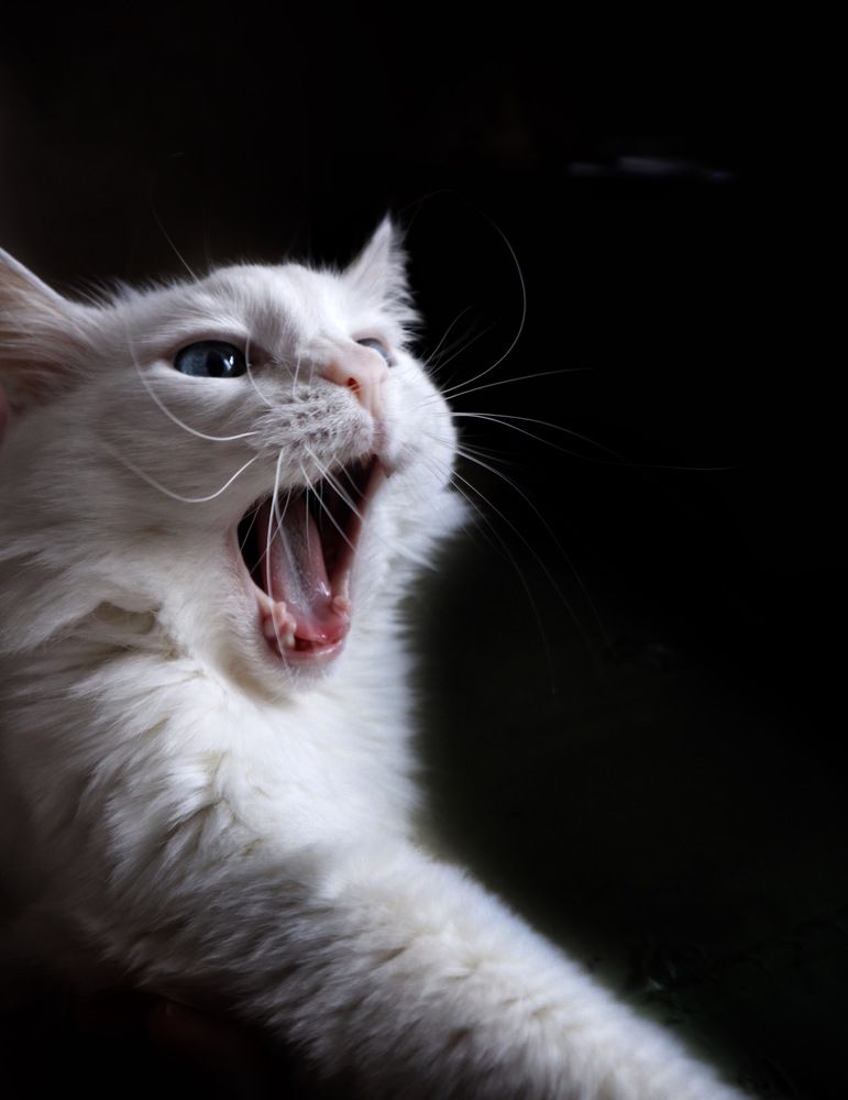 Photograph by Людмила Евстратова