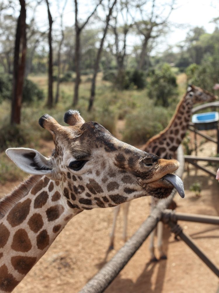 Photograph by Людмила Евстратова