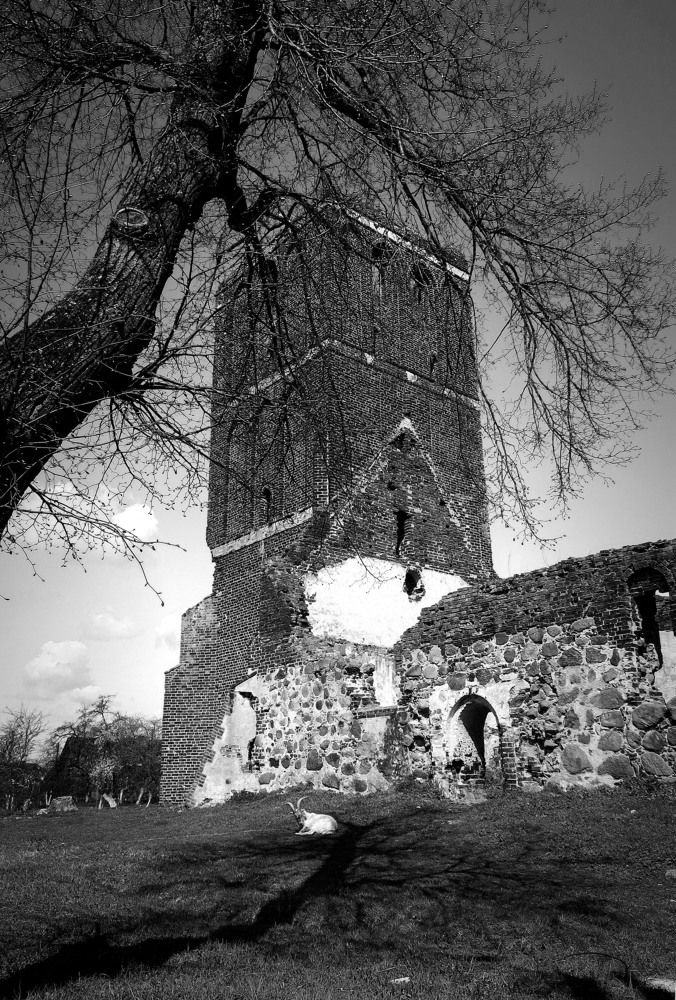 Photograph by Ольга Стоун