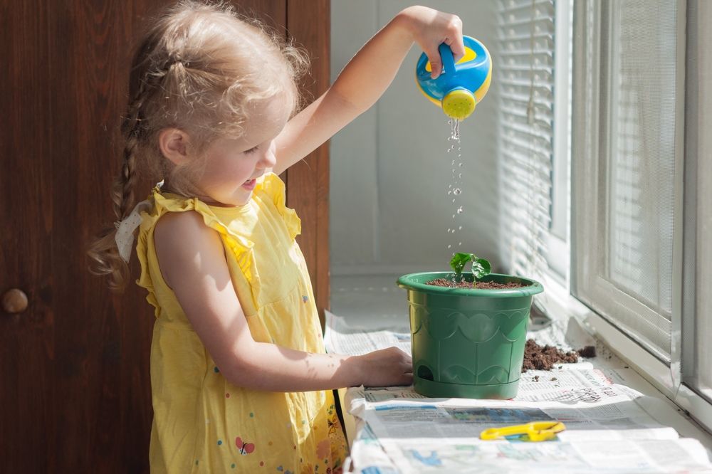 Фотография автора Александра Белова