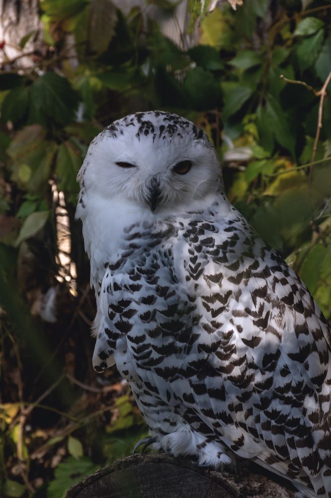 Photograph by Anton Leonchikov