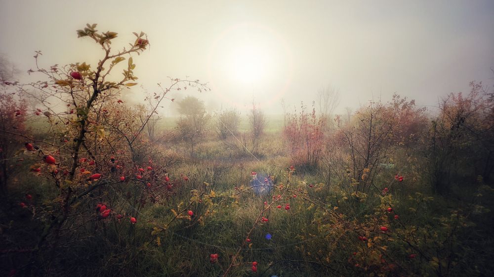 Photograph by Swetlana Lebedev