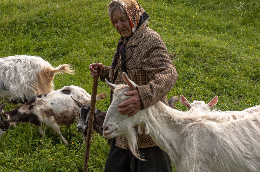 Photograph by Vladimir  Komarov
