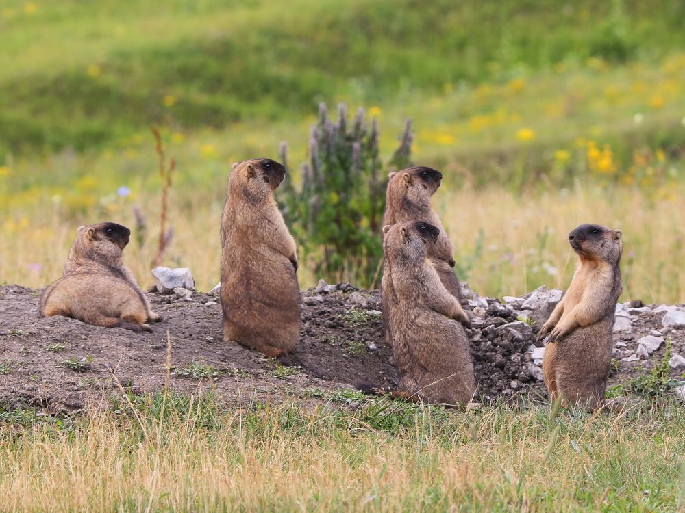 Заседание малого совета