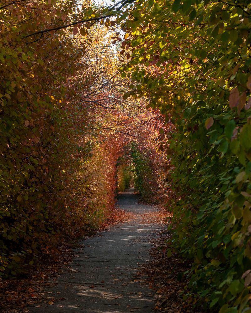 Фотография автора Сергей Рыженко