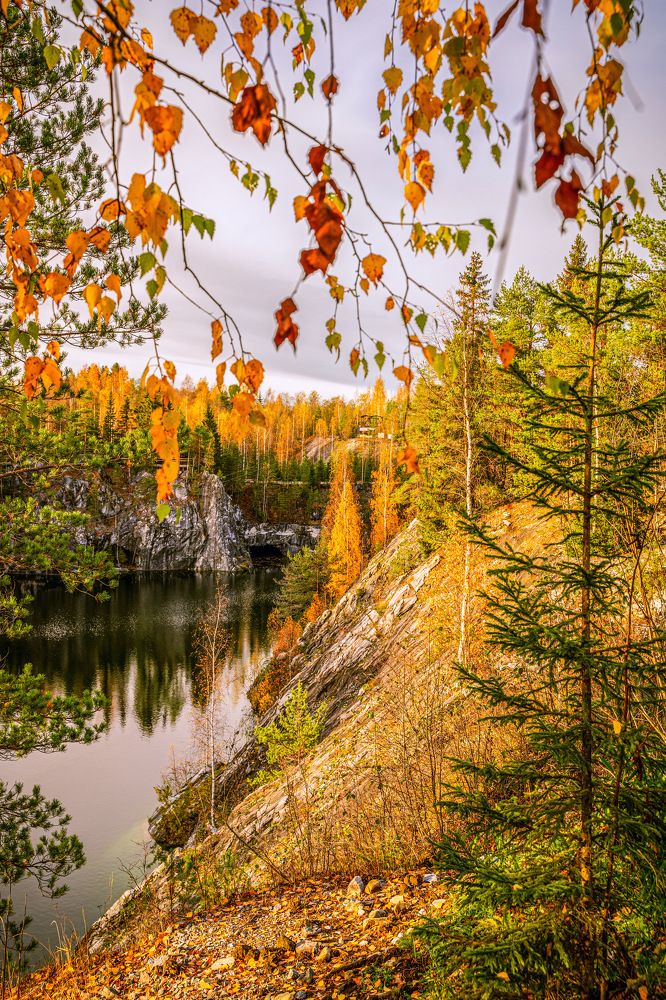 Photograph by Алена Устинович