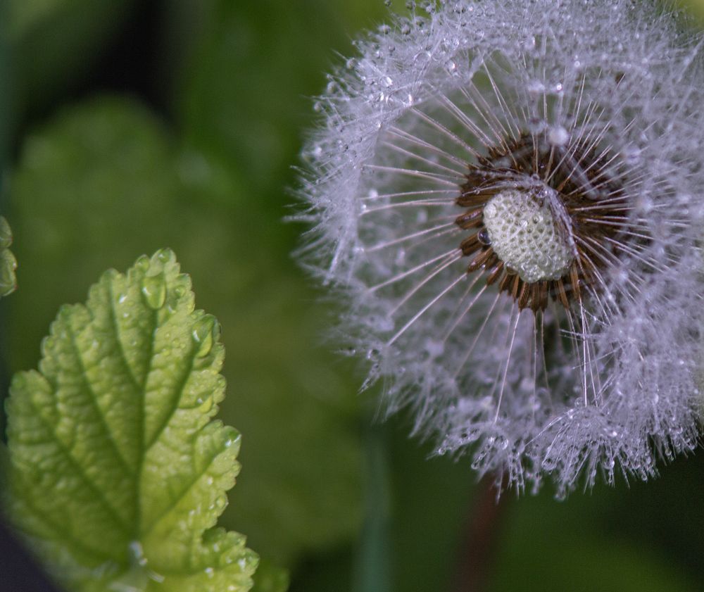 Photograph by Ирина Крепак