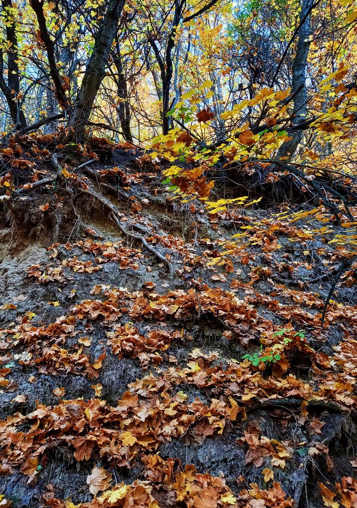 Photograph by Юлия Гурова