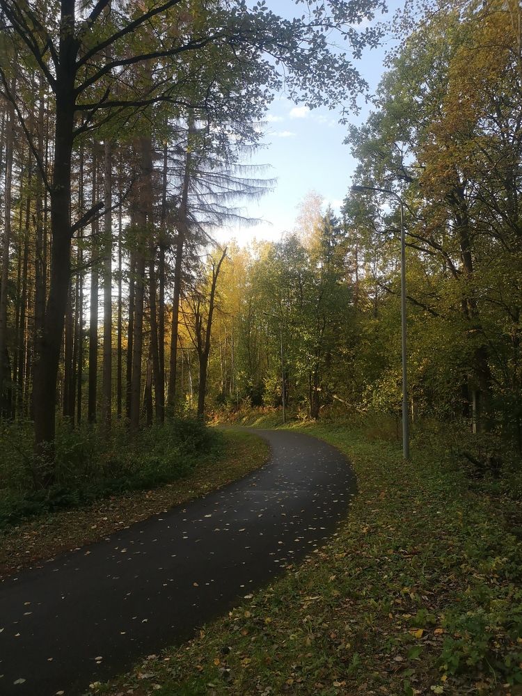 Photograph by Екатерина Борисовна Кузьмина