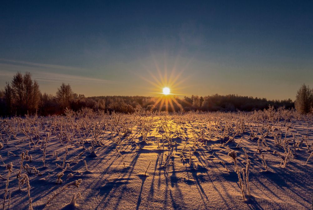 Лесная поляна.