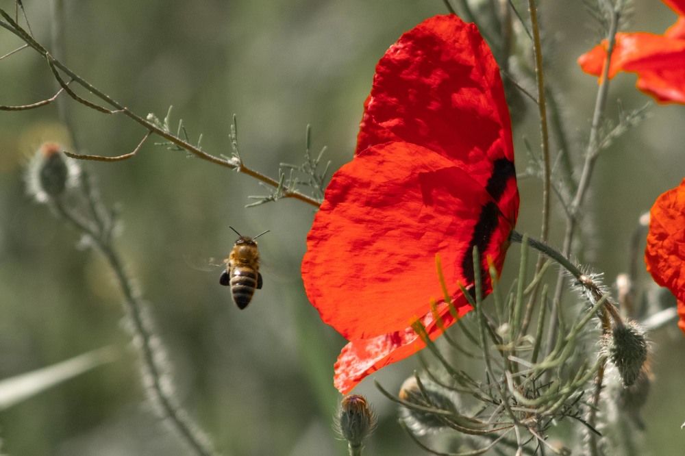 Фотография автора Ivan