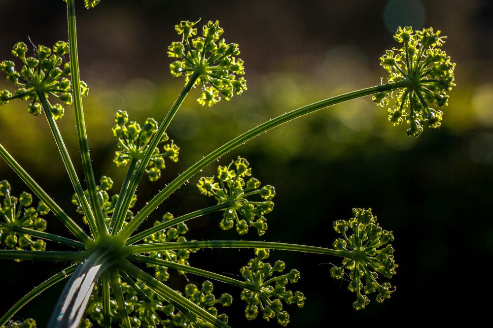 Photograph by Алена