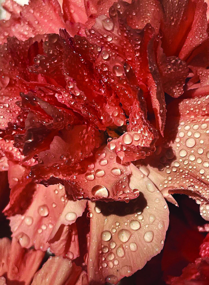 Photograph by Veronika Vilima