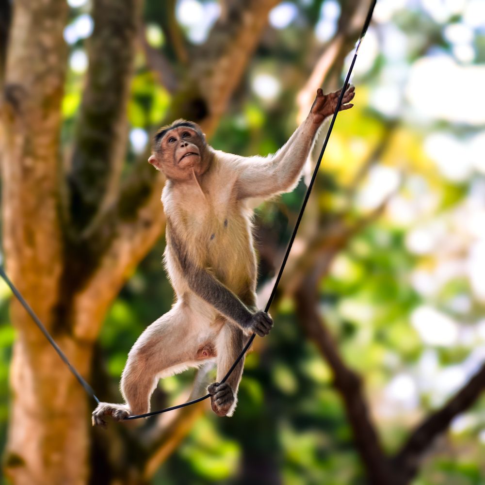 Photograph by Arindam Banerjee