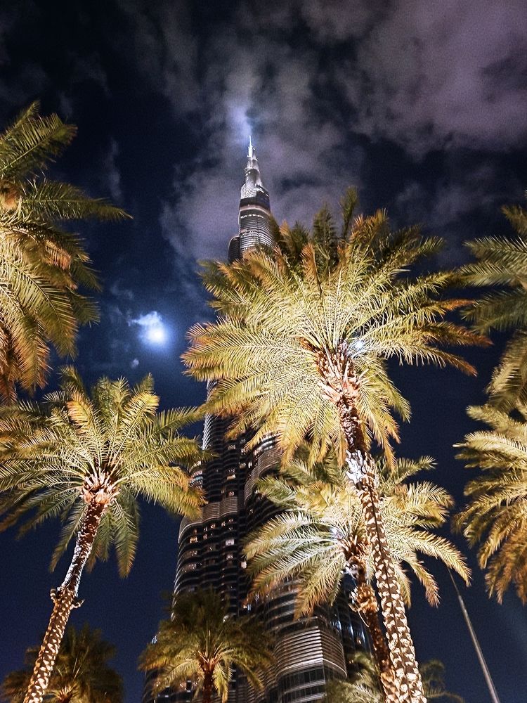 Photograph by Екатерина Себеченко