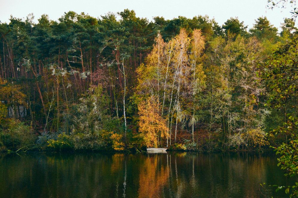Photograph by Ника
