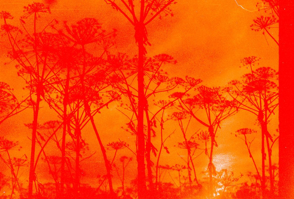 Фотография автора Николай Лазарев