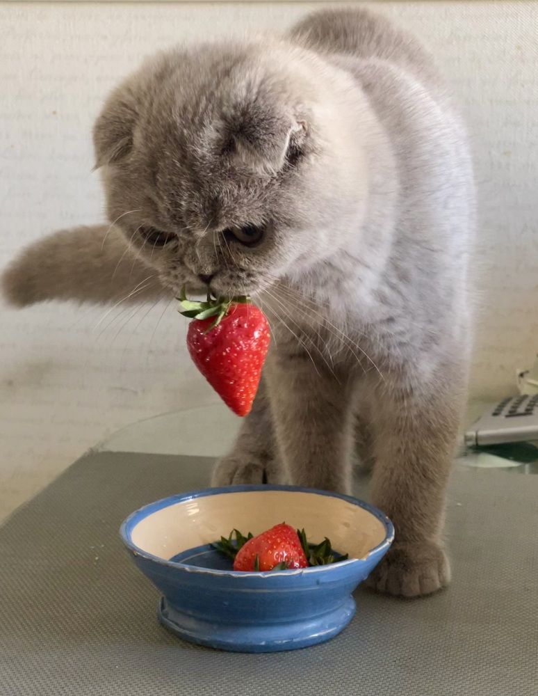 Photograph by Мария Ковригина