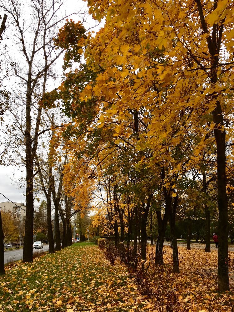 Photograph by Елена Макуха