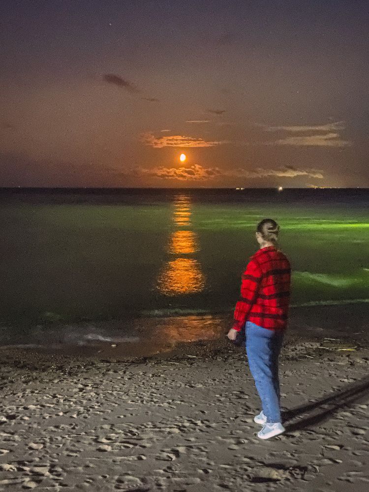 Photograph by Екатерина Николаева