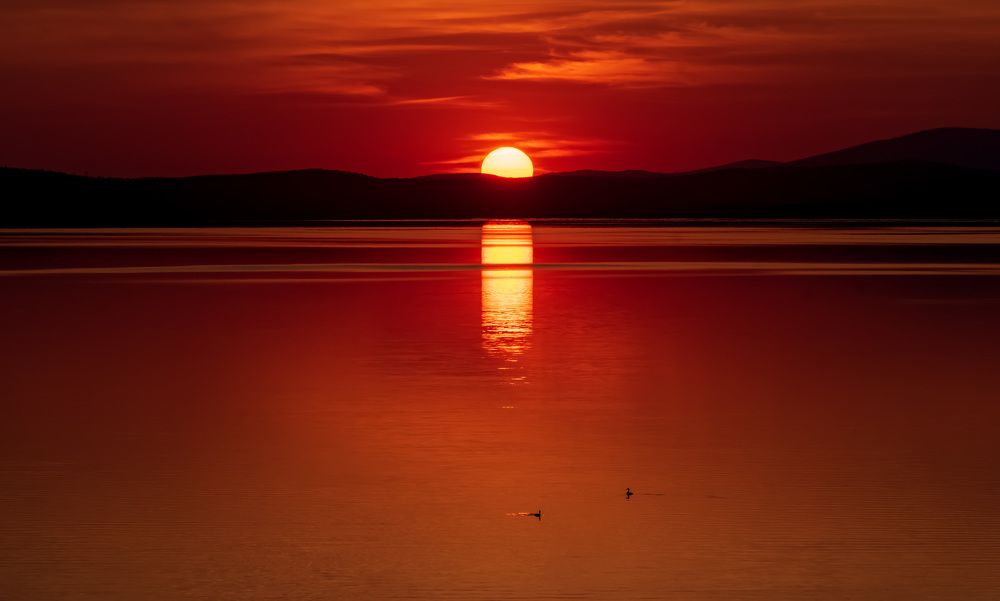 Photograph by Irina Luidinshina