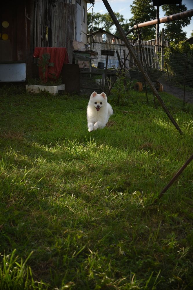 Photograph by Дмитрий Опаленов