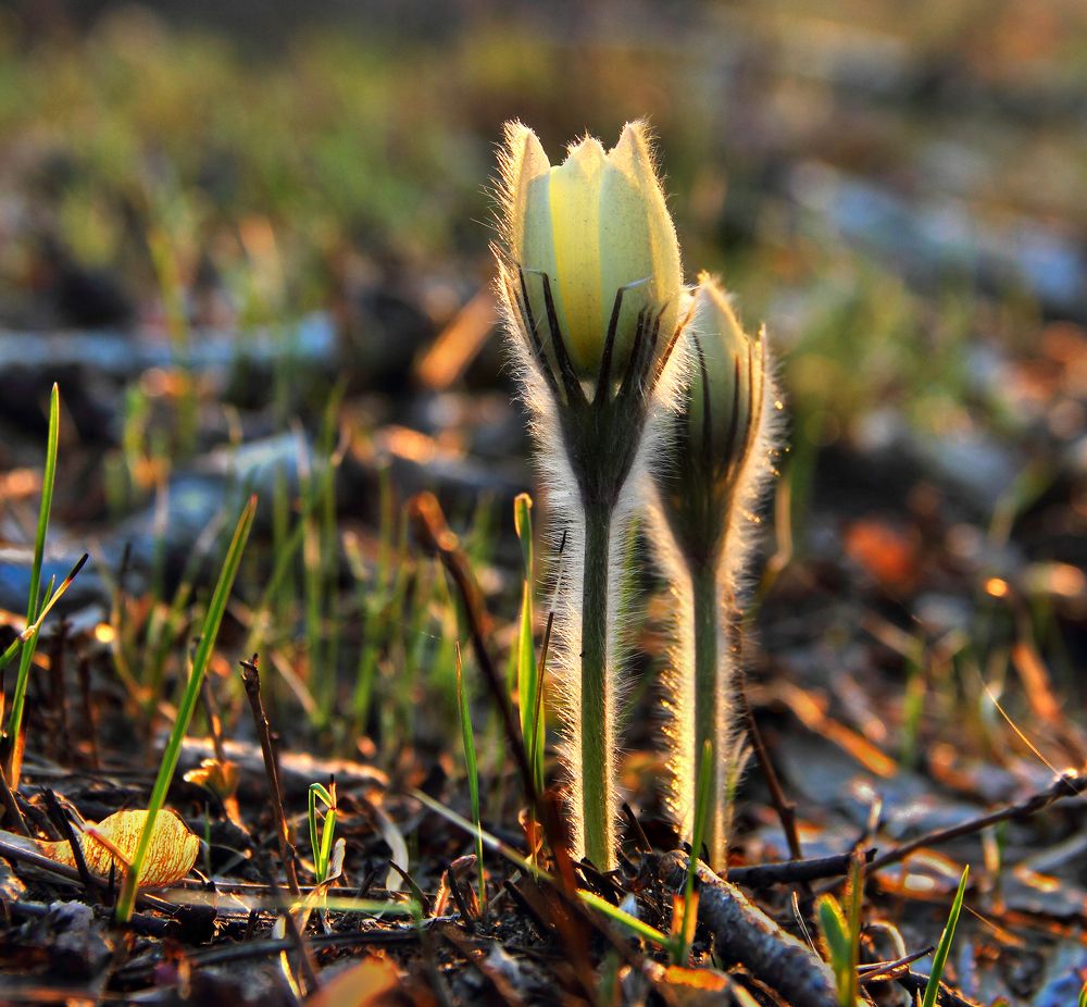 Фотография автора Кухта Мария
