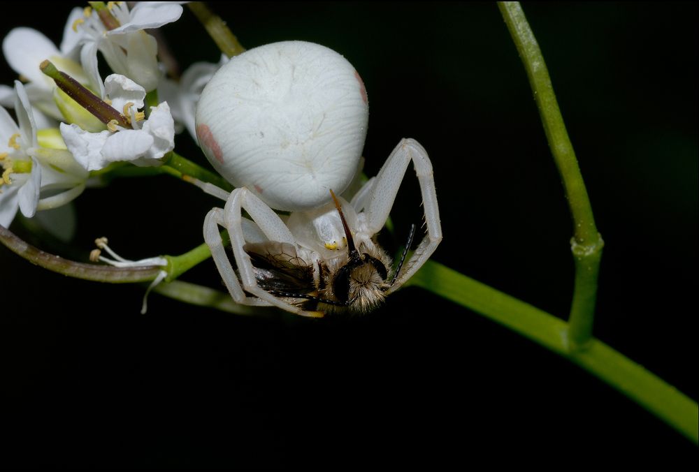 Photograph by Елена Нижегородцева