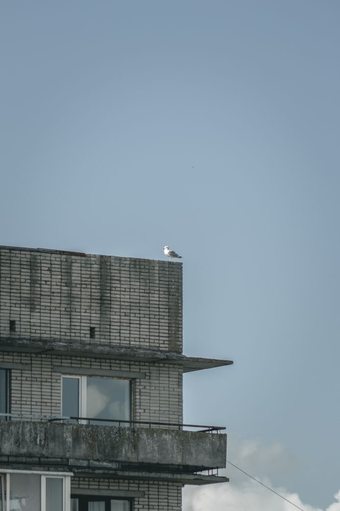 Photograph by Anna Dubinina