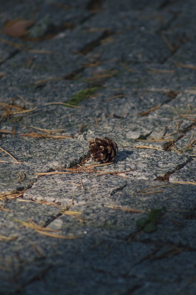 Photograph by Anna Dubinina