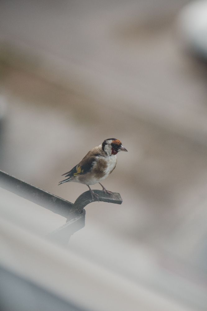 Photograph by Anna Dubinina