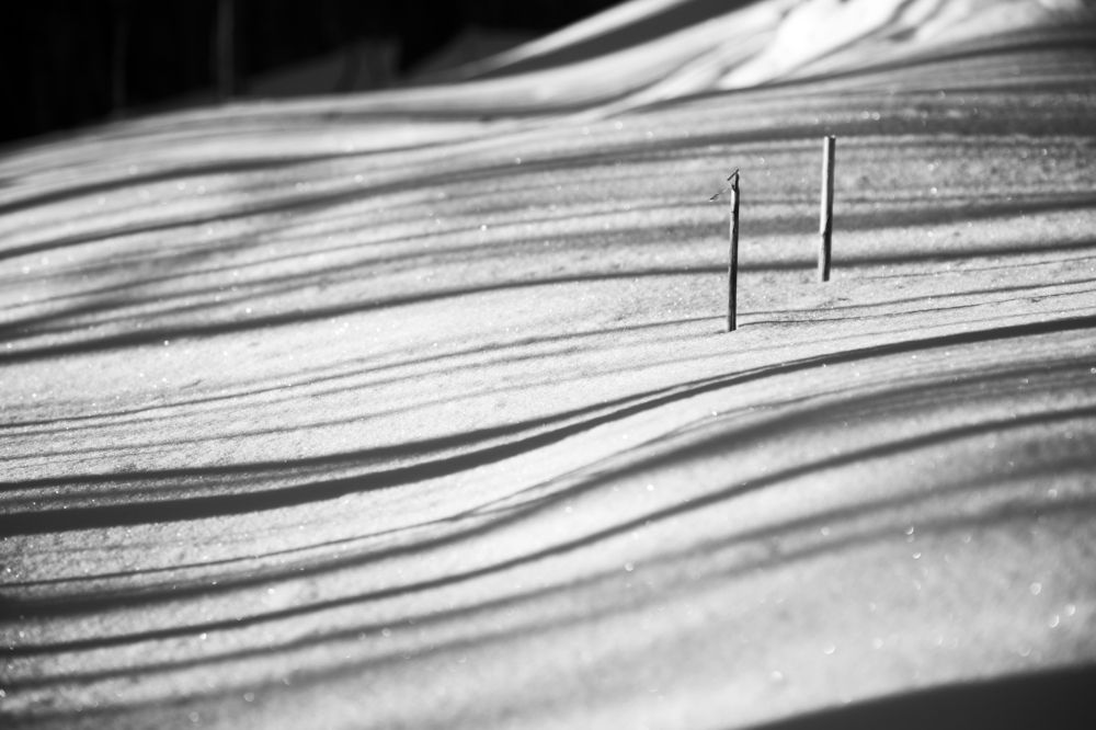 Photograph by Евгений Колтунов