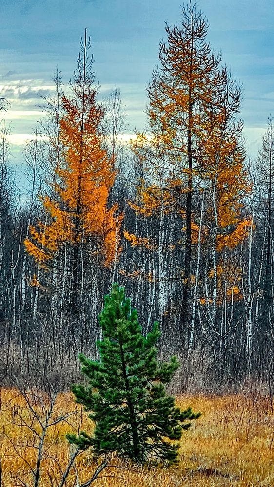 Photograph by Александр