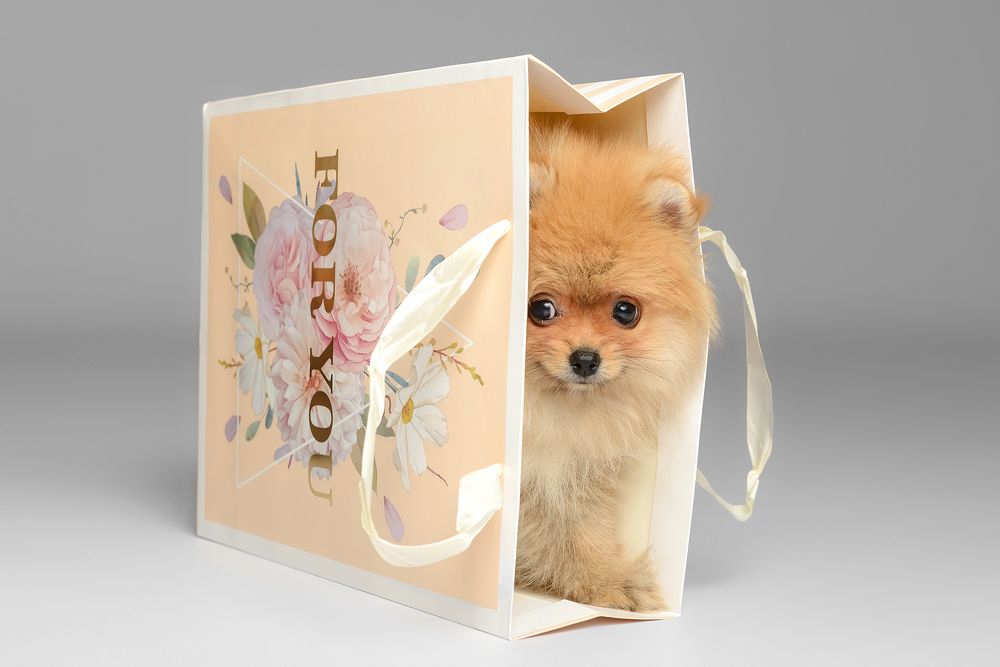 Photograph by Макуха Ольга